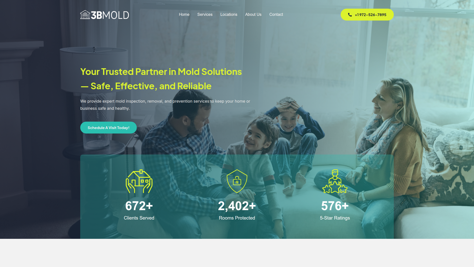 3B Mold Removal