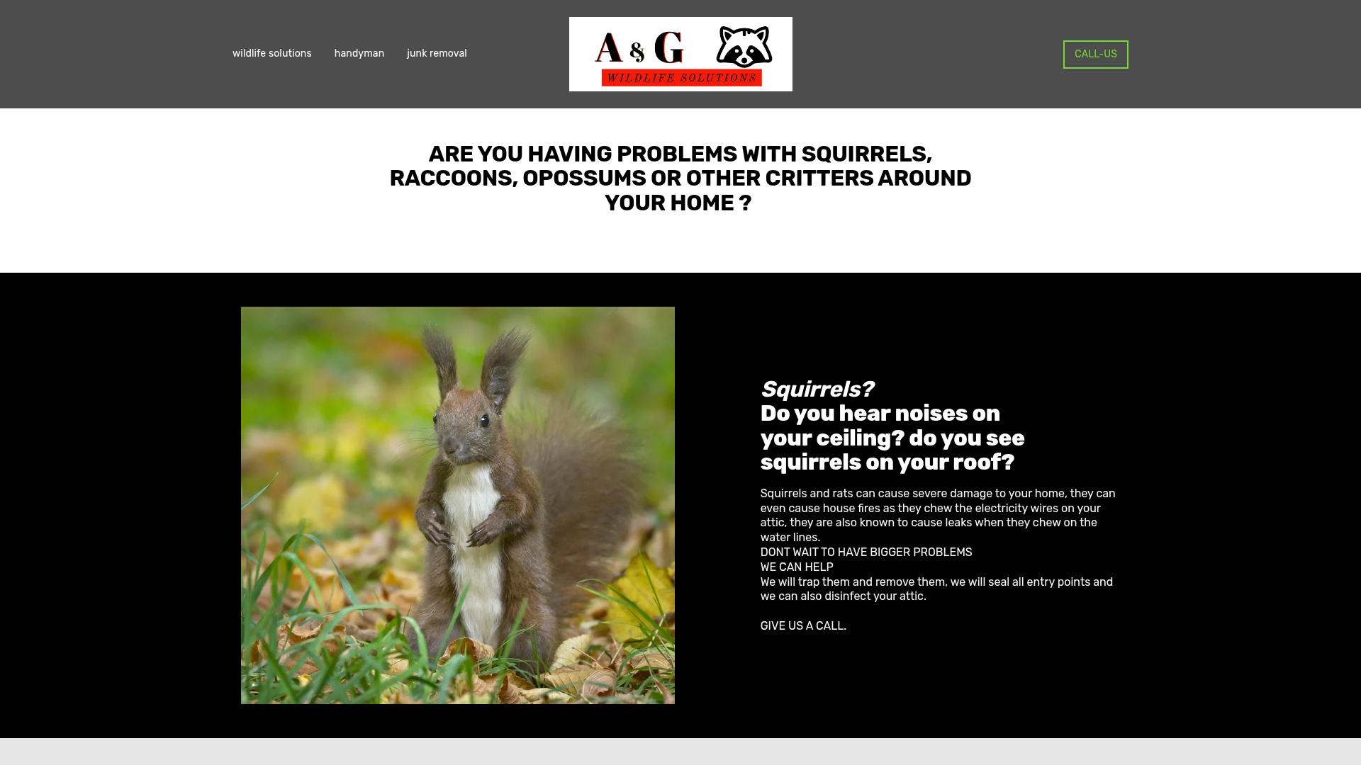 a&g wildlife services