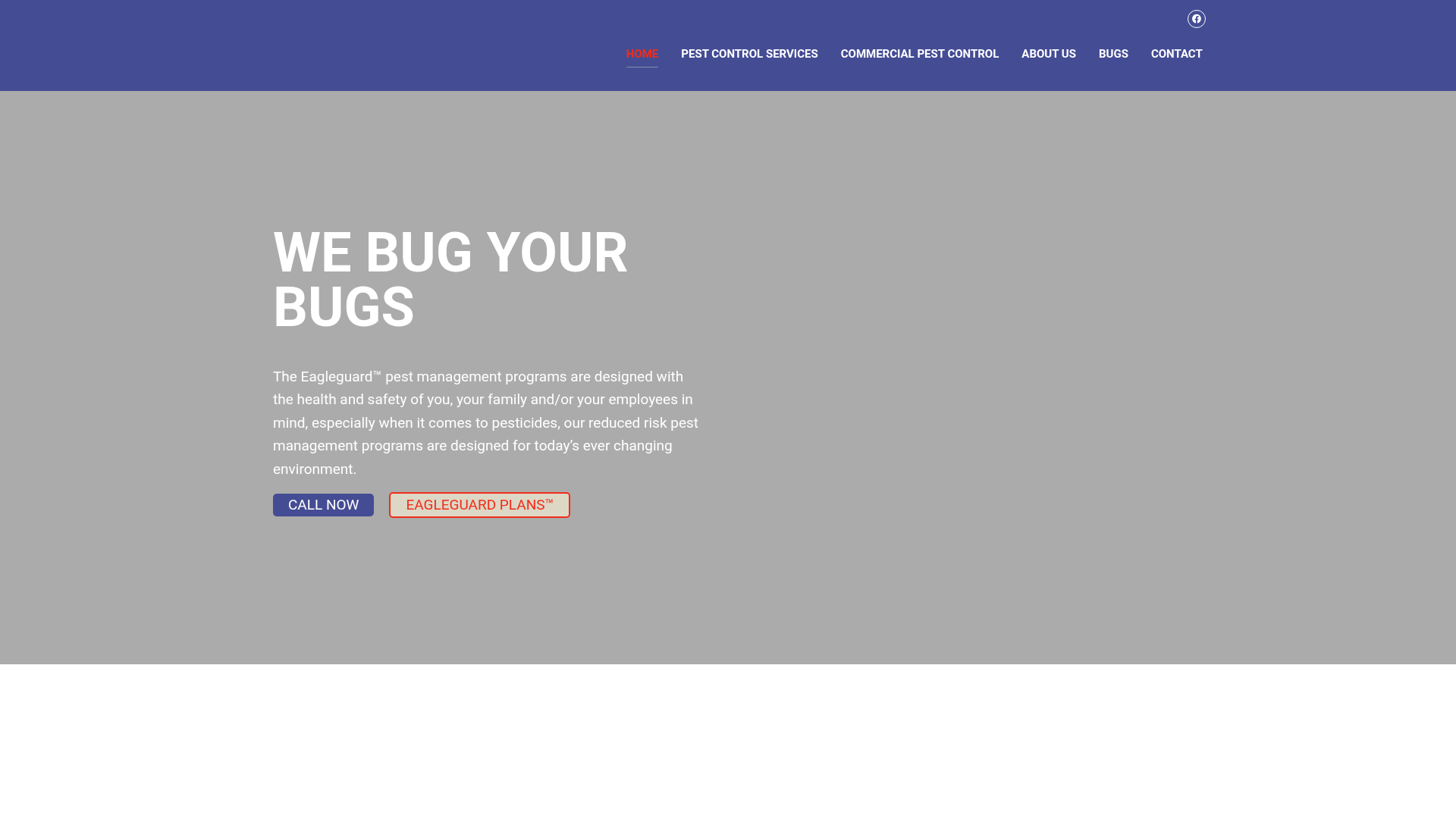 All American Pest Management