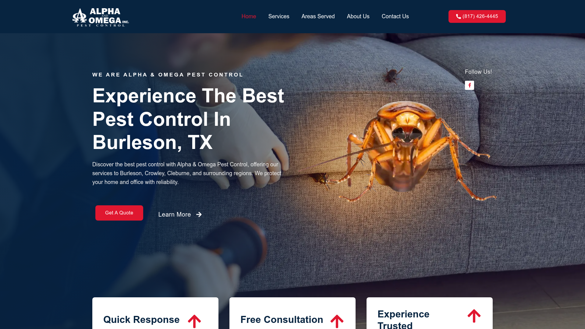 Alpha and Omega Pest Control