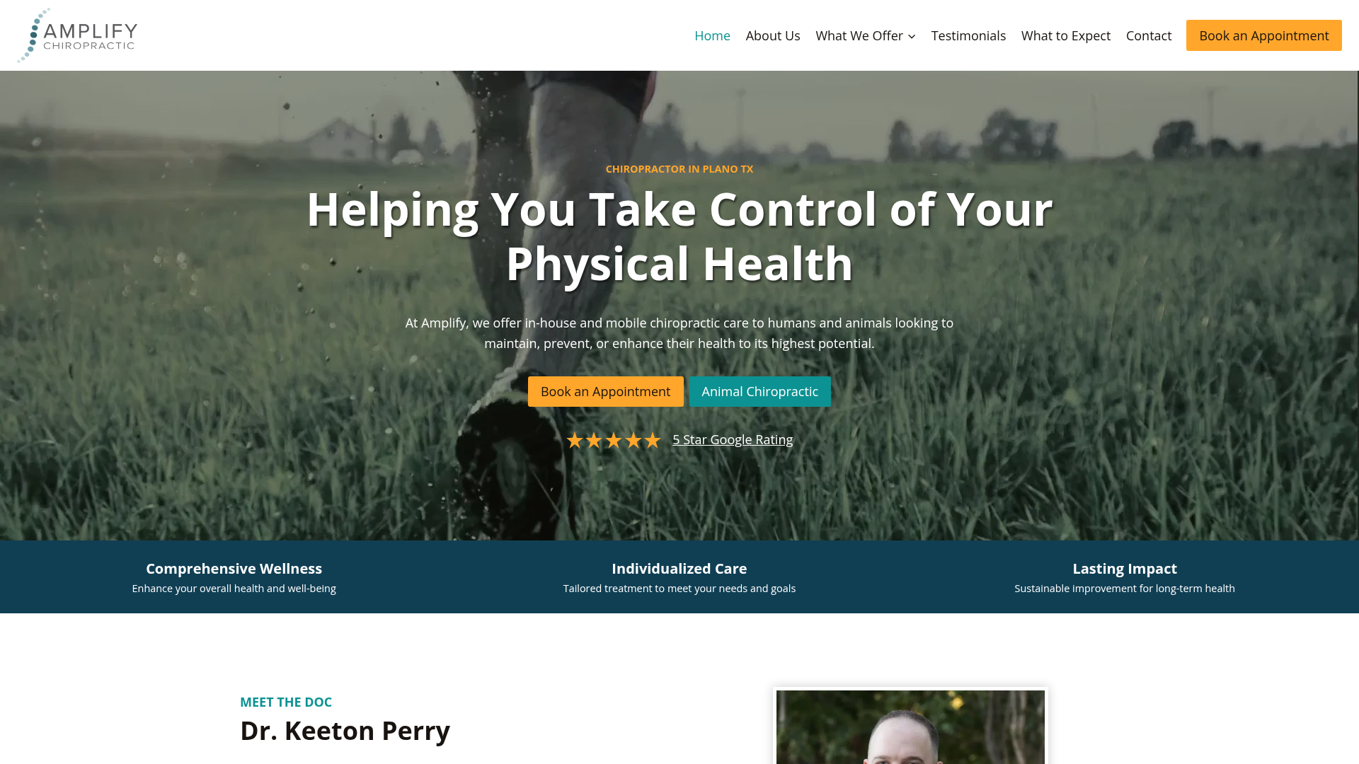 Amplify Chiropractic + Wellness