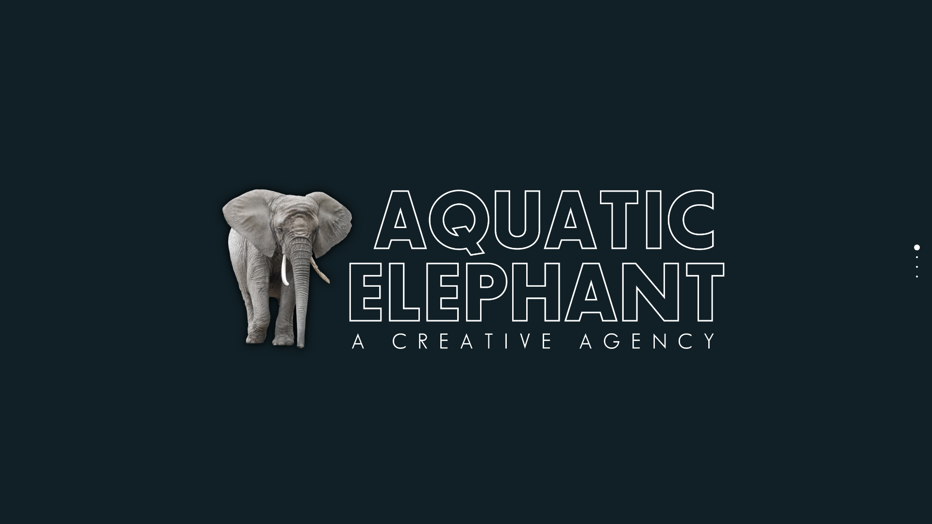 Aquatic Elephant Marketing