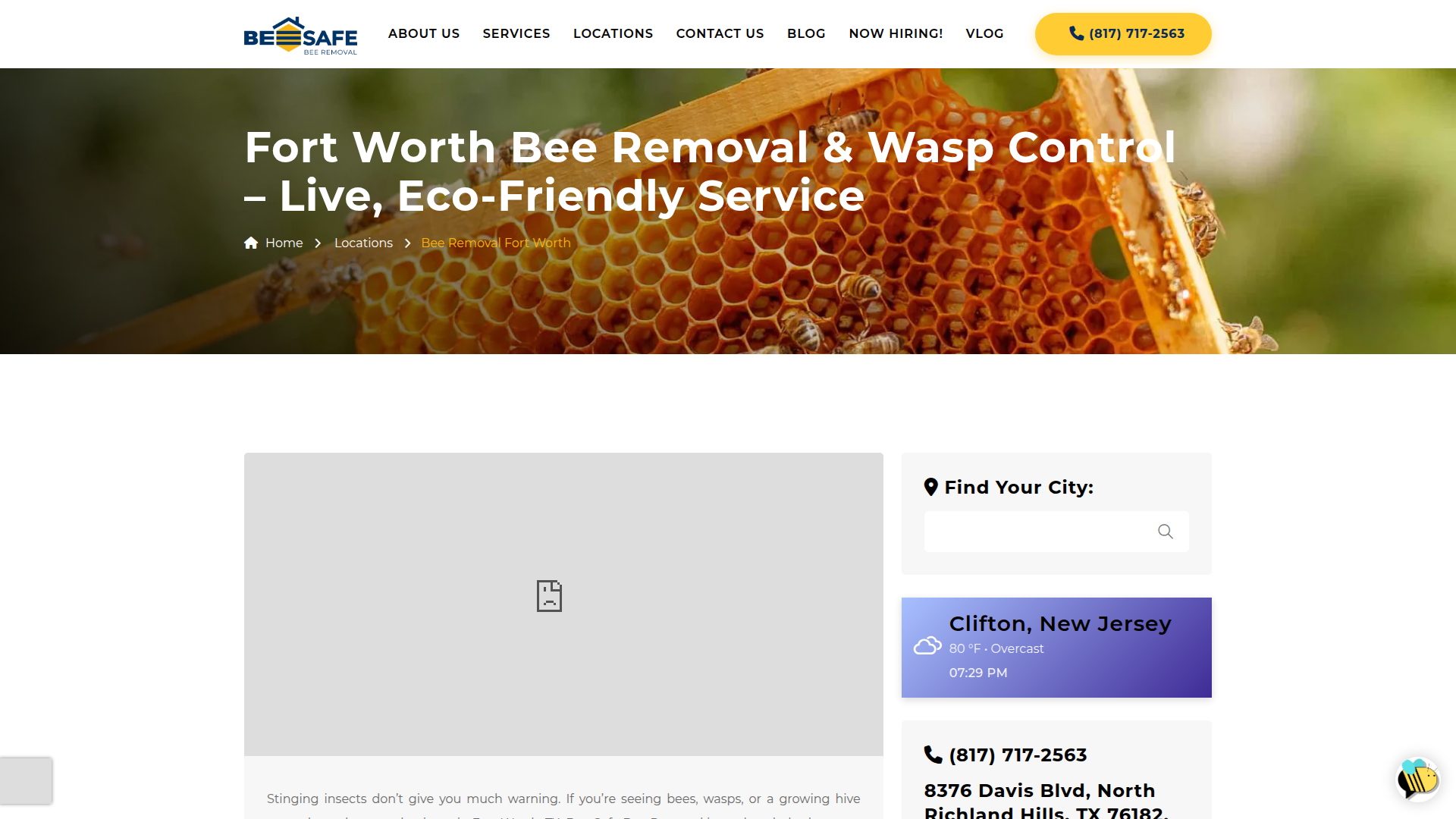 Bee Safe Bee Removal