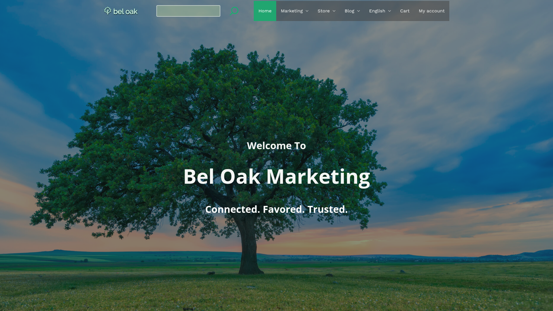 Bel Oak Marketing