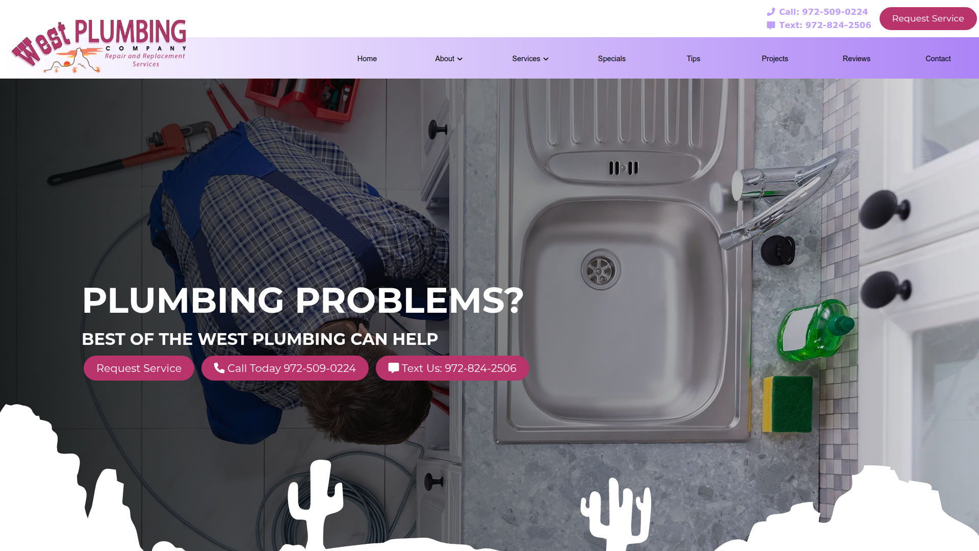 Best of the West Plumbing