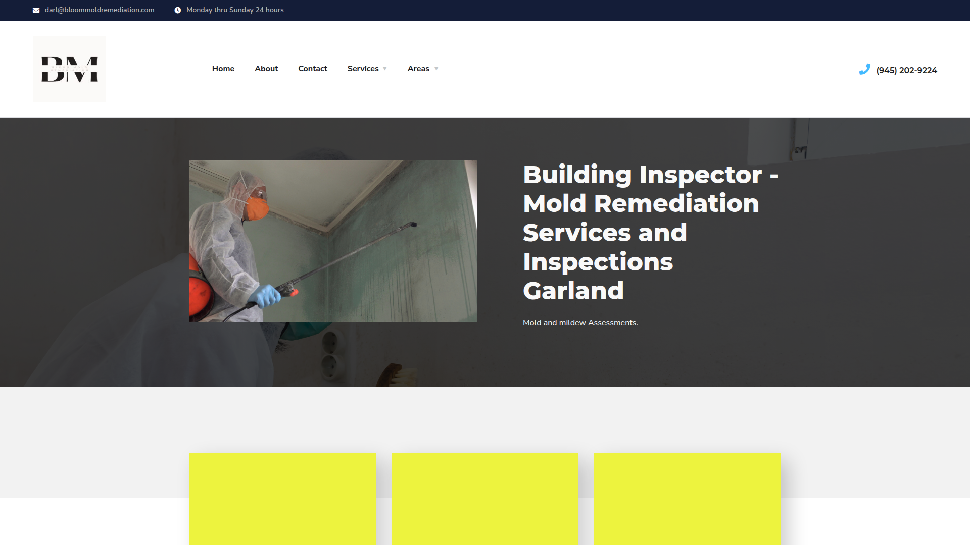 Bloom Mold Remediation
