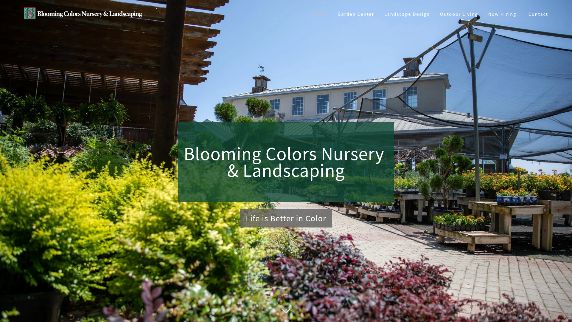 Blooming Colors Nursery & Landscape Design