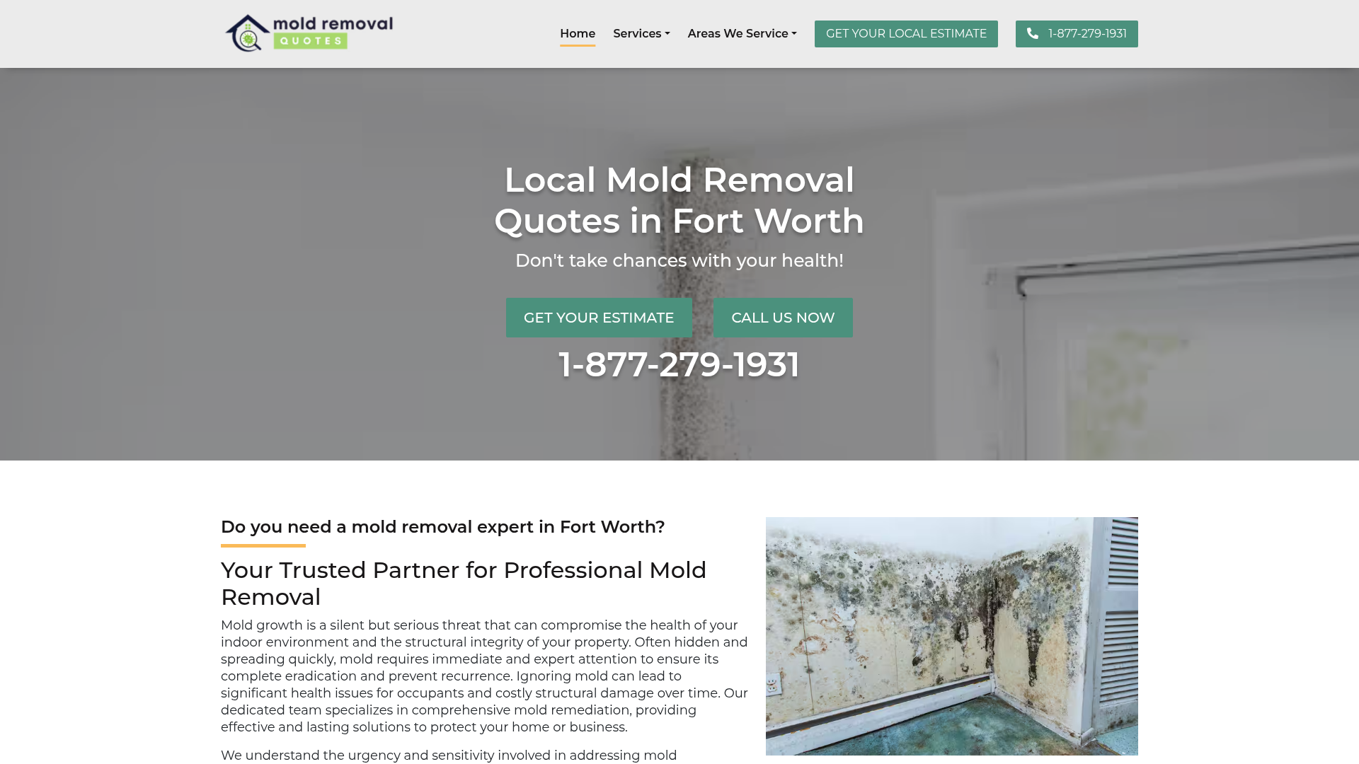 Cowtown Pro Mold Removal