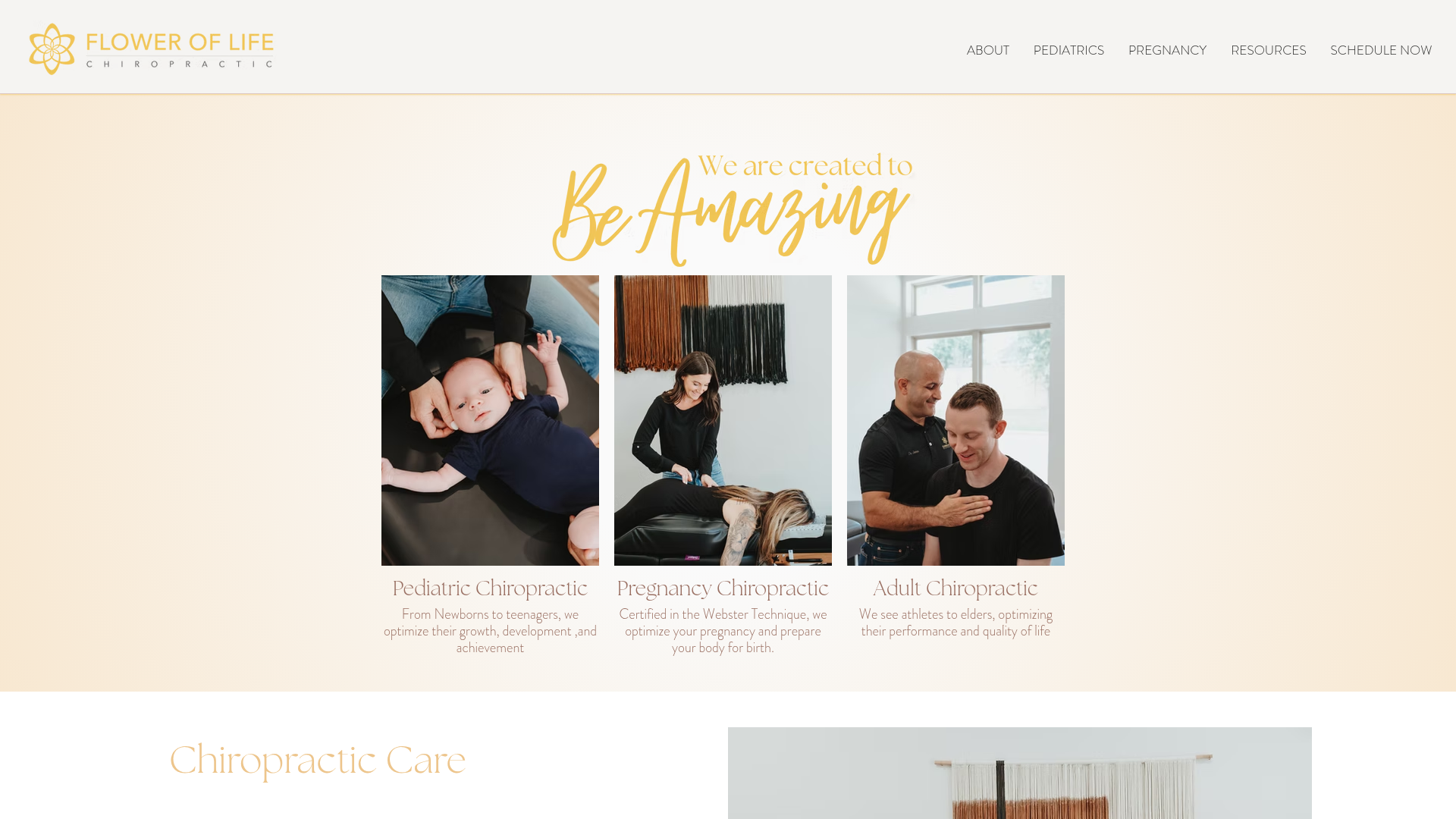 Flower of Life Chiropractic