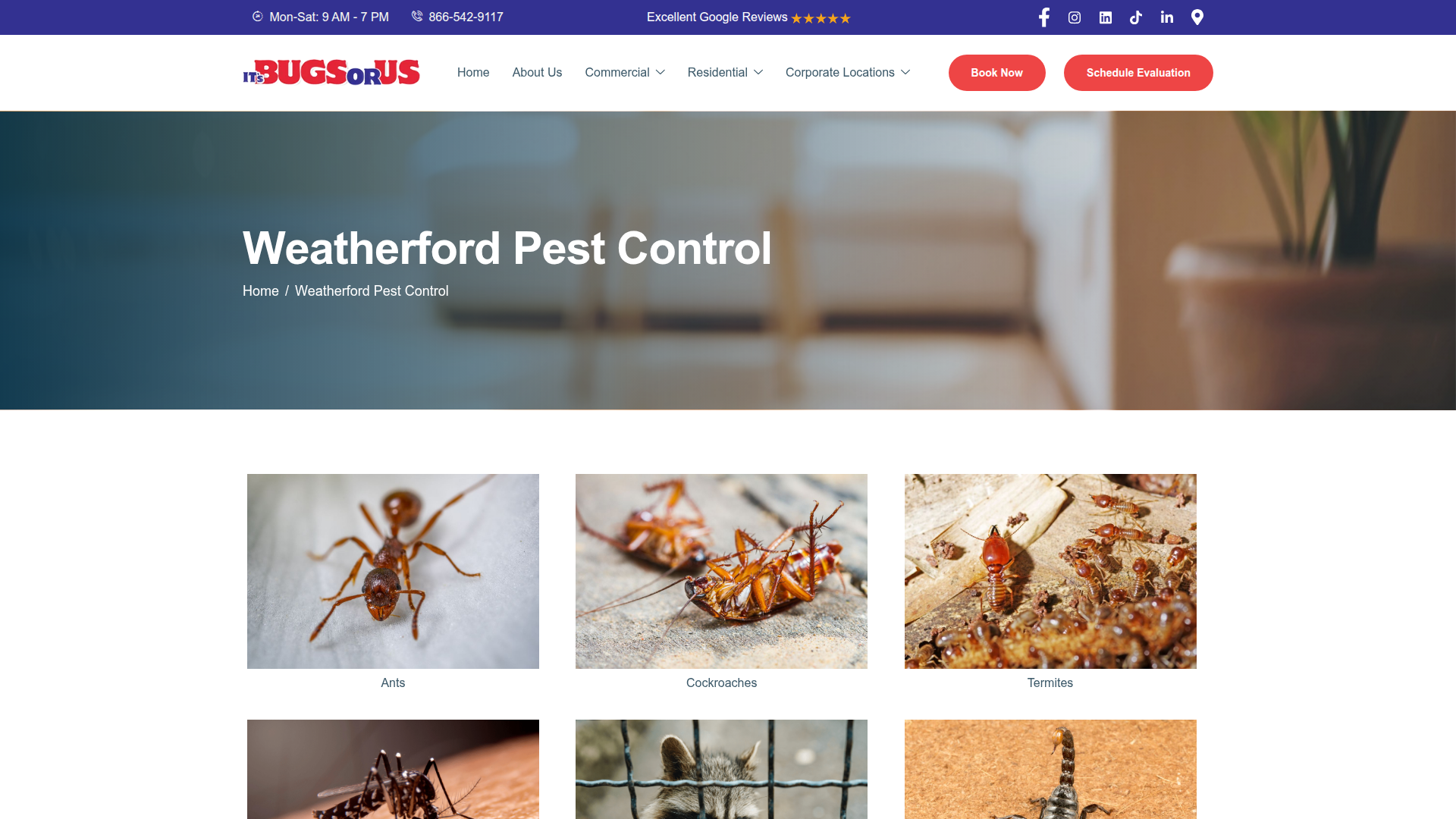 It’s Bugs Or Us Pest Control - Weatherford