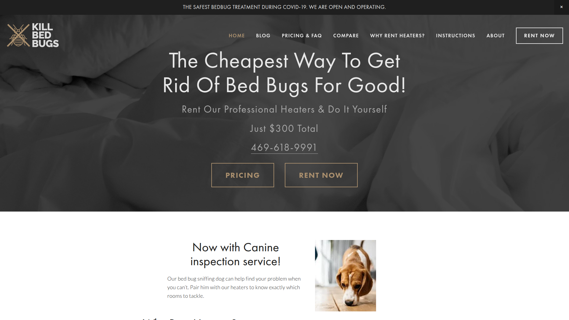 Kill Bed Bugs Dallas - Get Rid of Bed Bugs Yourself