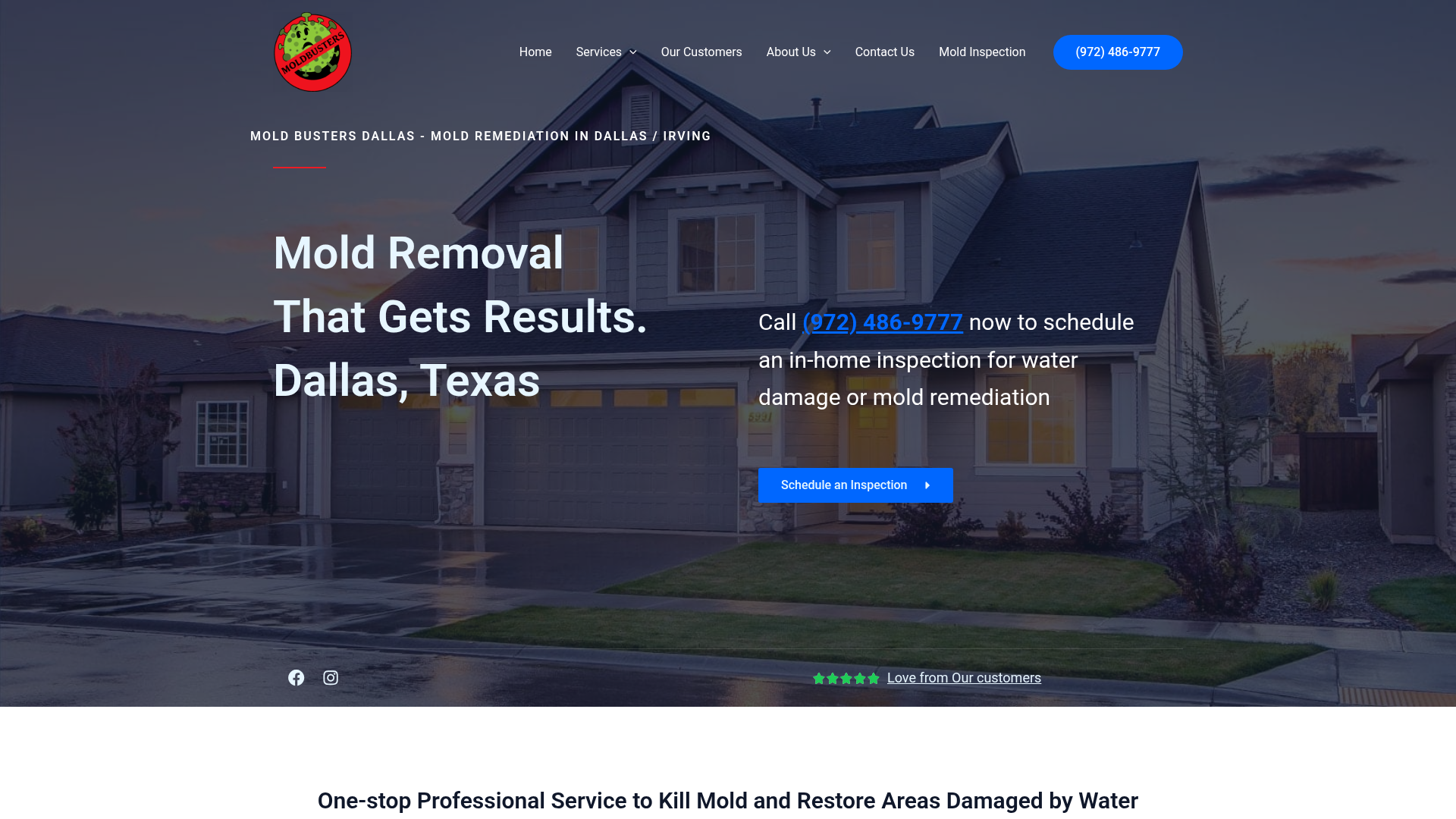 Mold Busters Dallas
