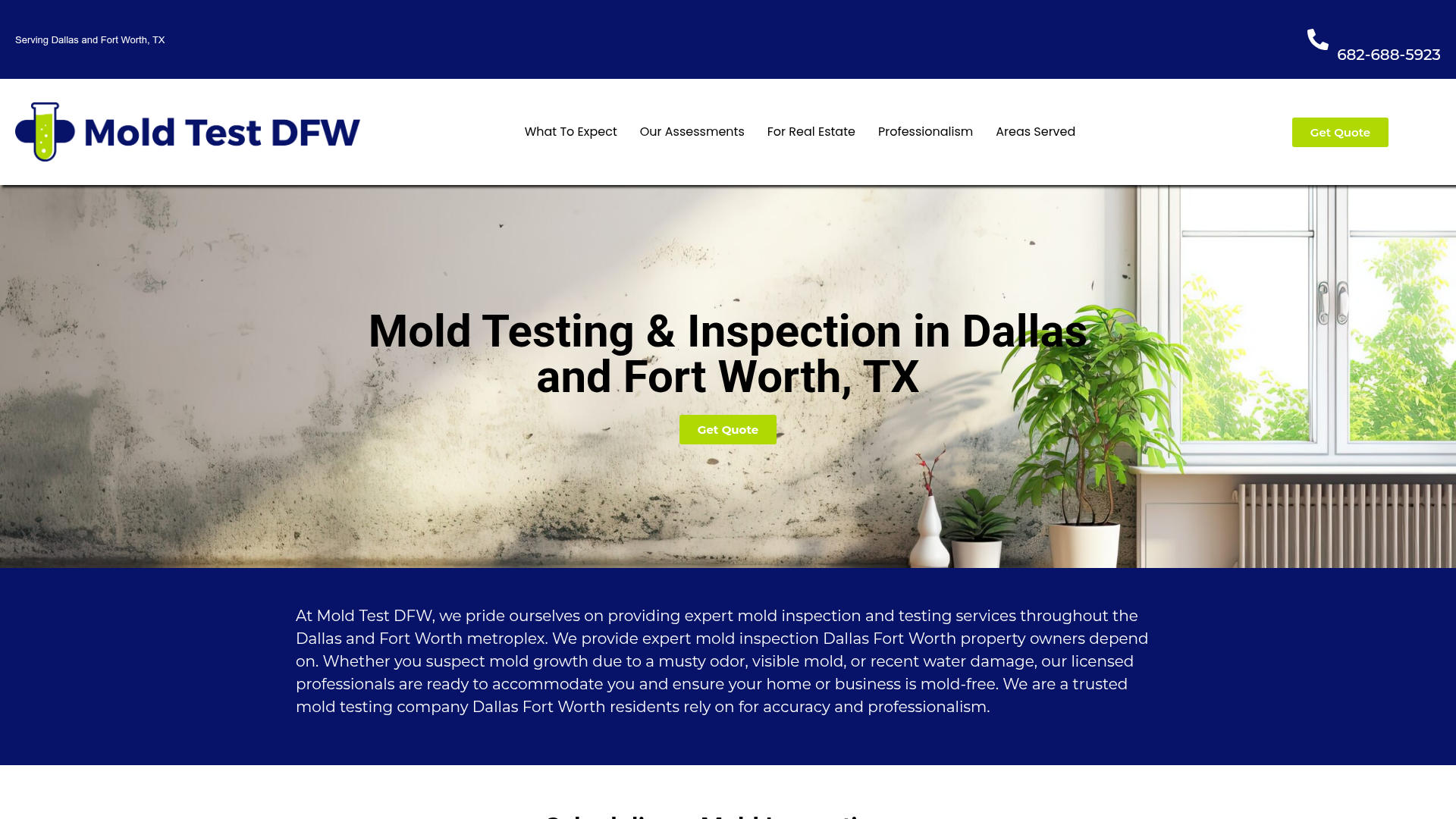 Mold Test DFW