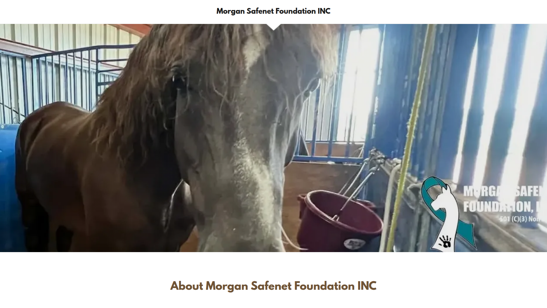 Morgan Safenet Foundation, Inc