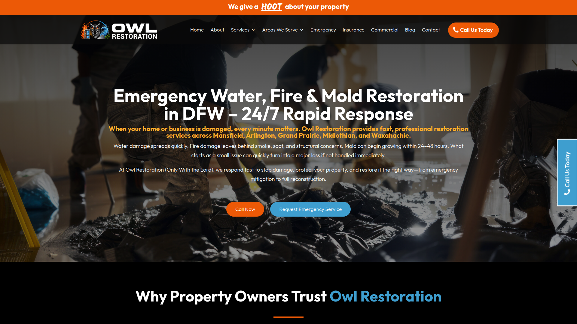 Owl Restoration