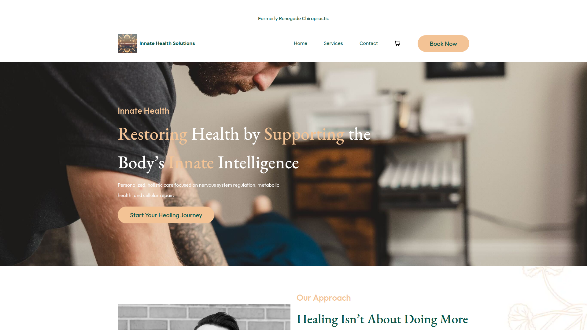 Renegade Chiropractic LLC