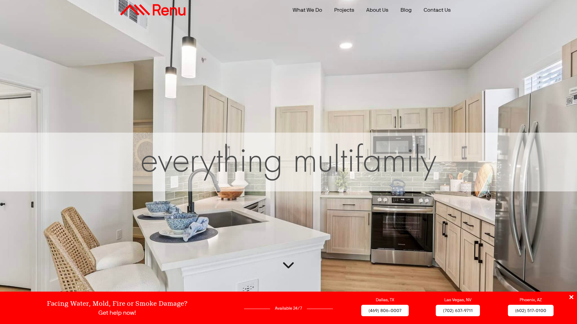 Renu Inc