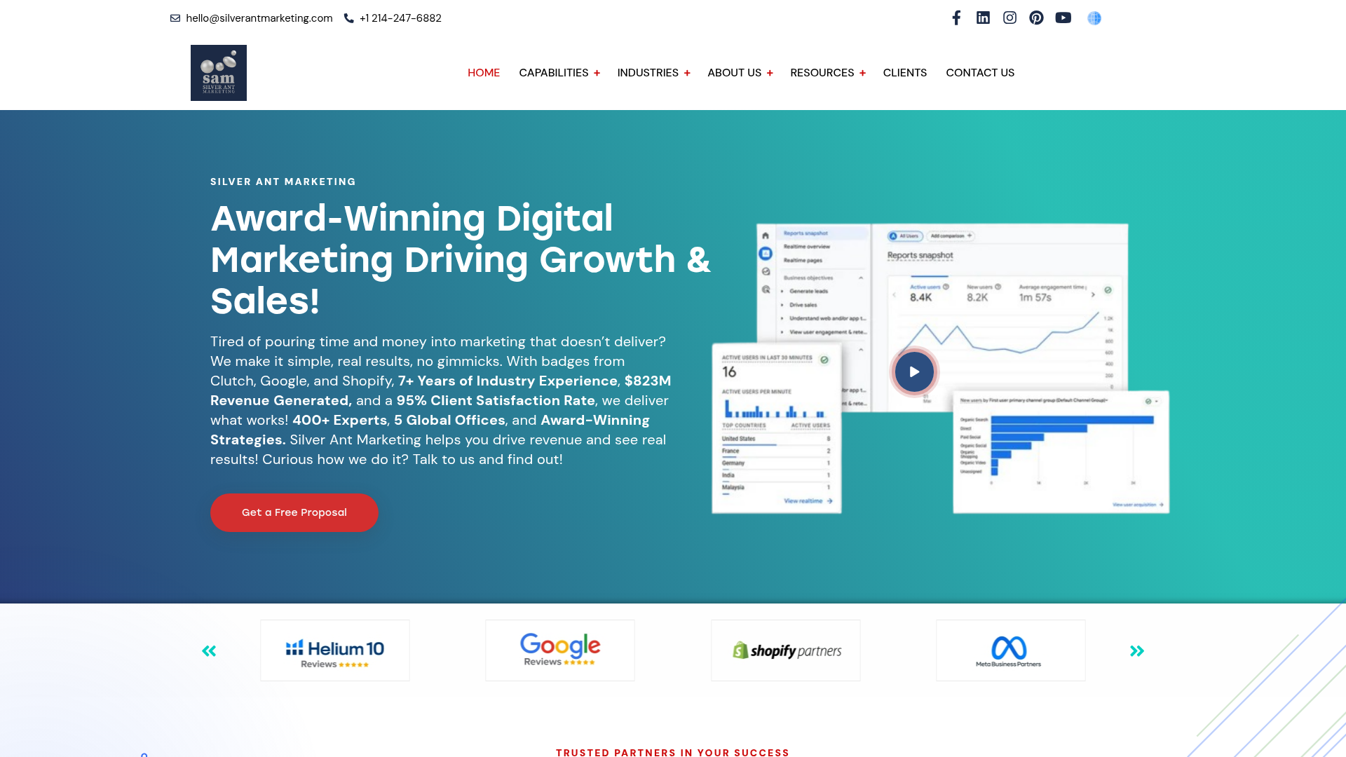 Silver Ant Marketing