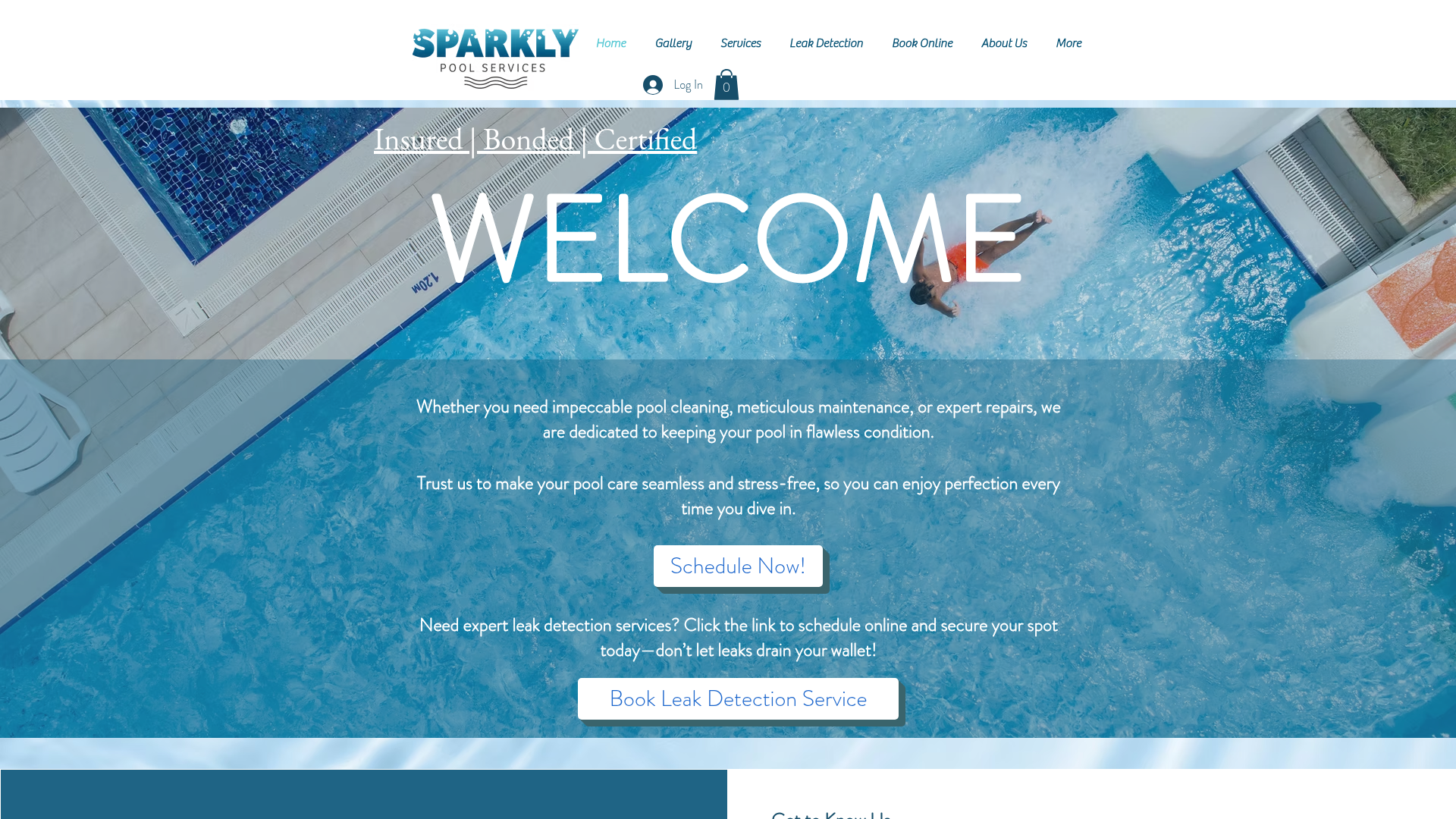 Sparkly Pool Services