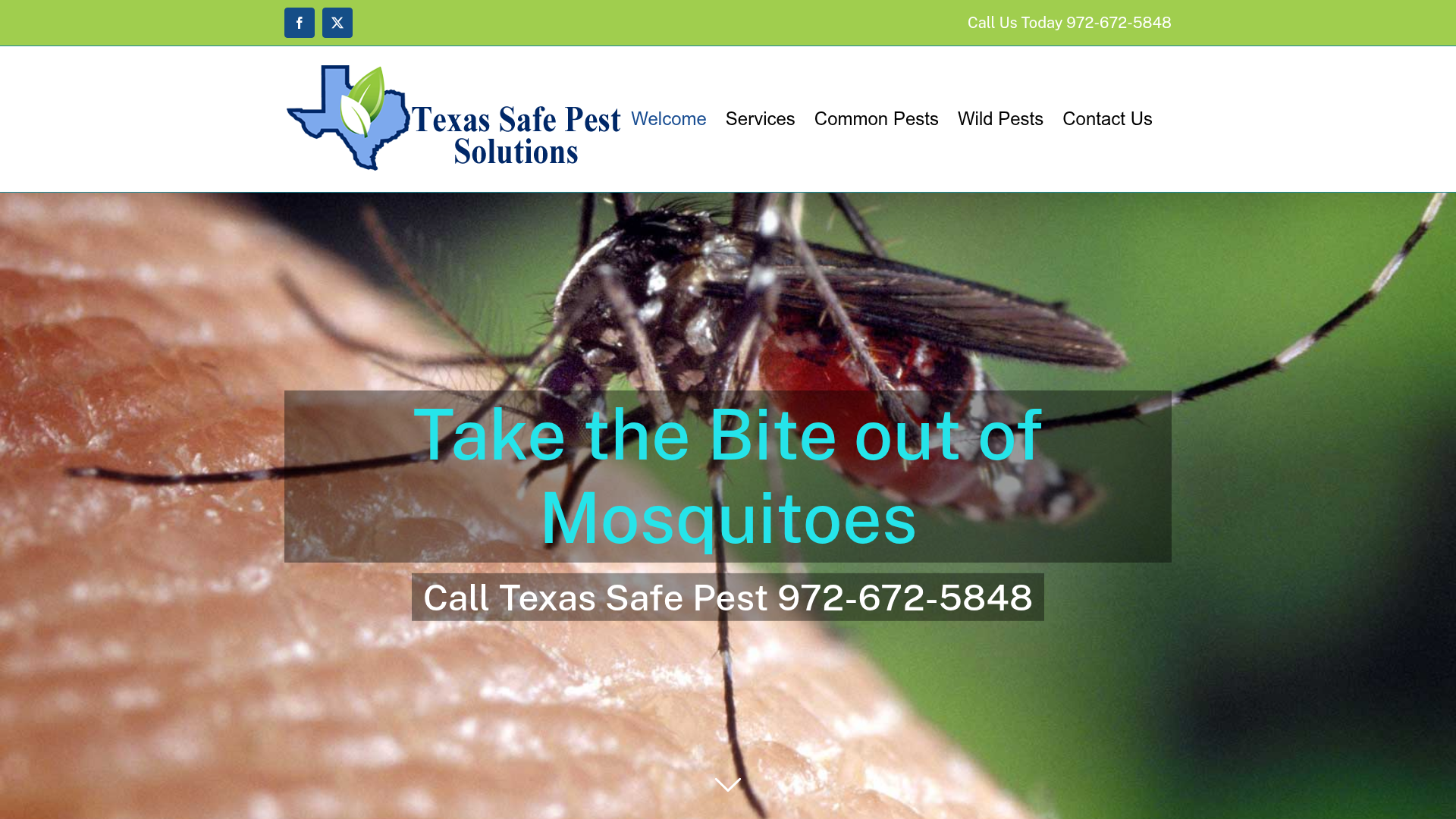 Texas Safe Pest Solutions