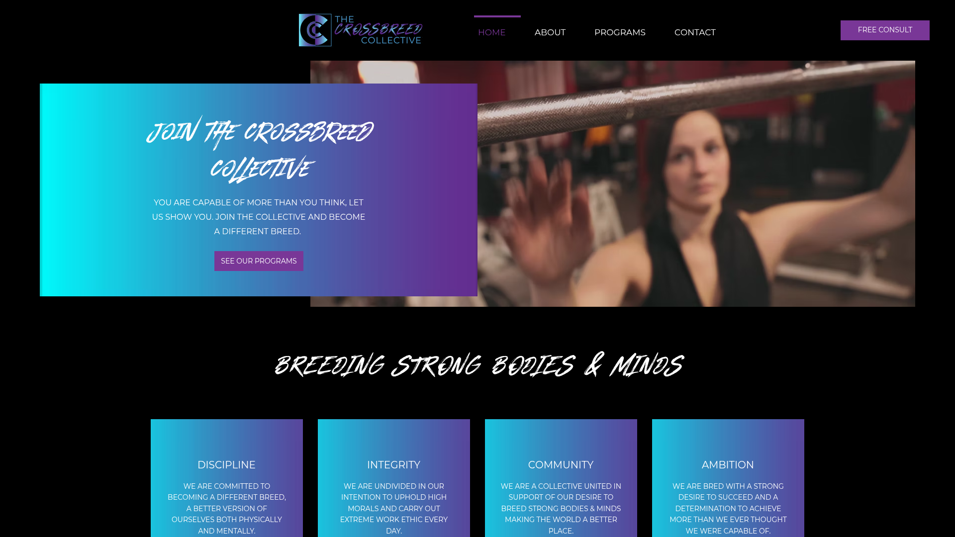 The Crossbreed Collective - Personal Training