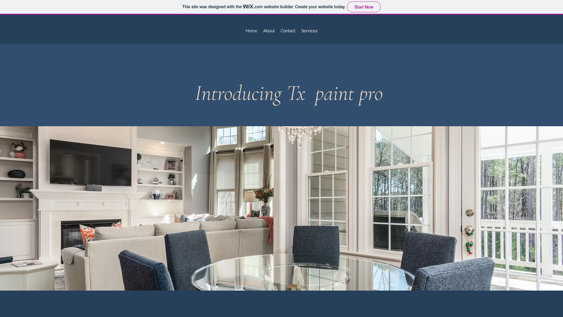 TX Paint Pro