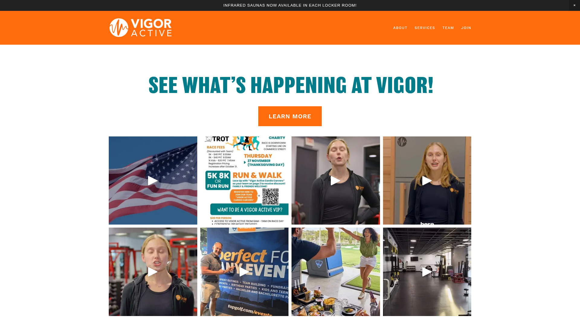 Vigor Active