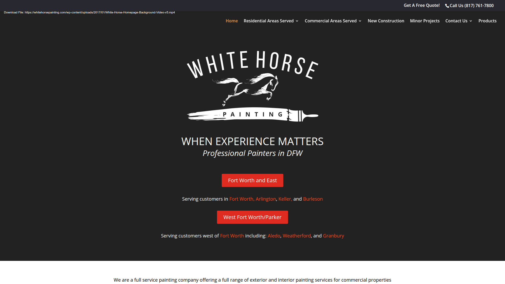White Horse Painting